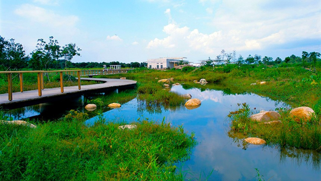 香港濕地公園。（圖： 香港旅遊發展局）