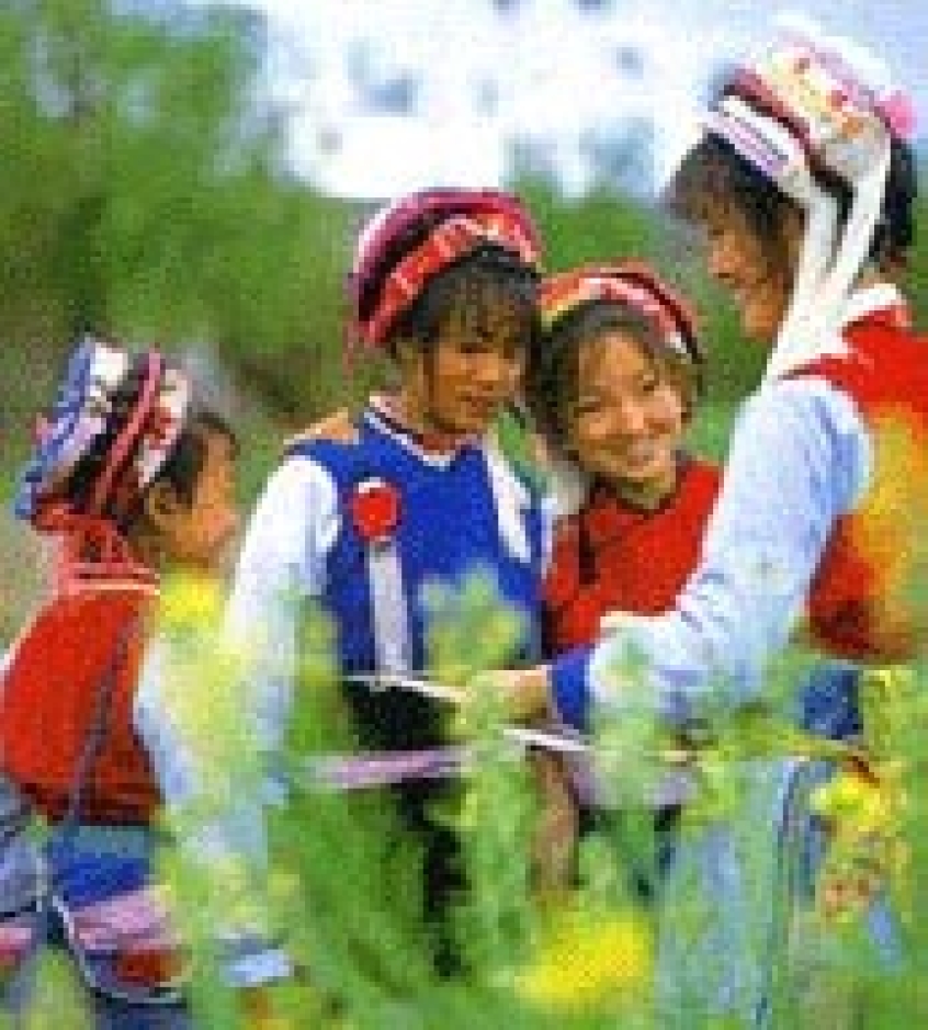 mis_20040529_baizu.