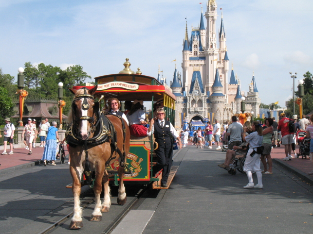 disneyworld_magickingdom