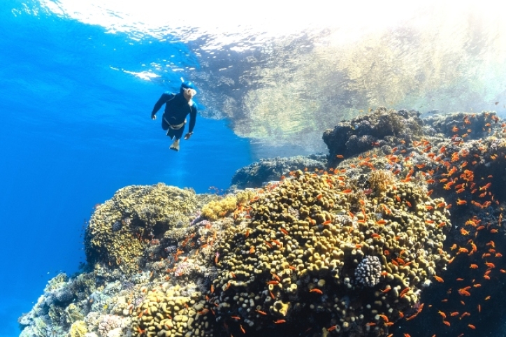 海洋考古學家勇闖水世界：深潛30年每次像重生！  